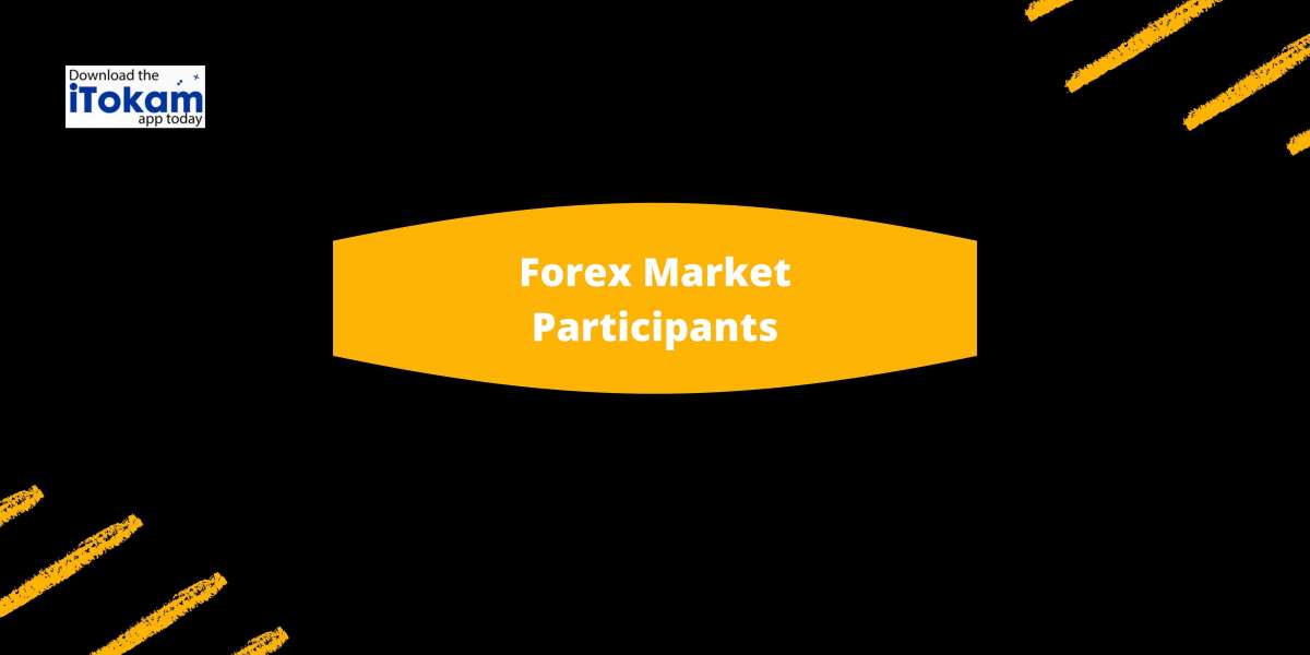 Participants in the Forex Market