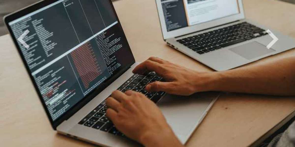 Best Web Programming Languages: Every Beginner Should Know