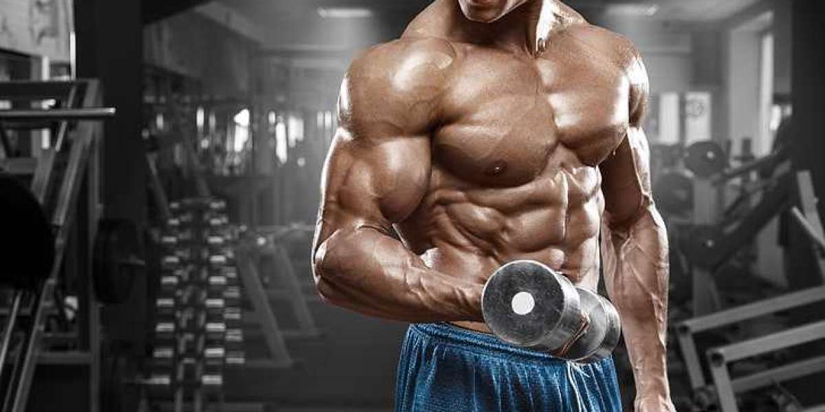 Testosterone Booster: The 5 Best Supplements for Men of 2022