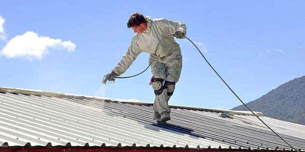 Roof painters Whangarei