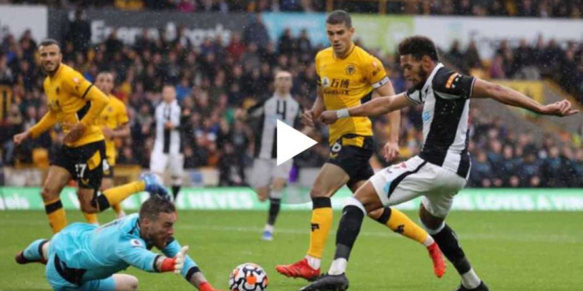 WATCH Wolves vs Newcastle United (Premier League) LIVE
