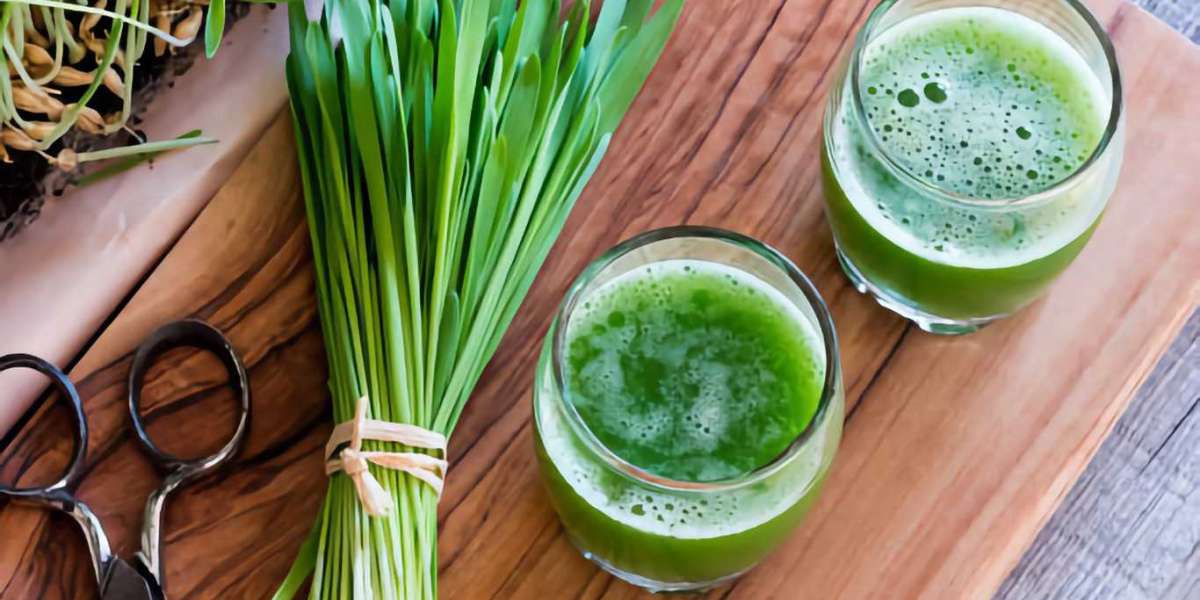 Wheatgrass: Benefits, Side Effects, and More