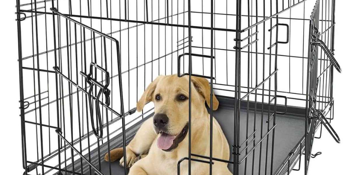 Searching For Pet Crate in NZ