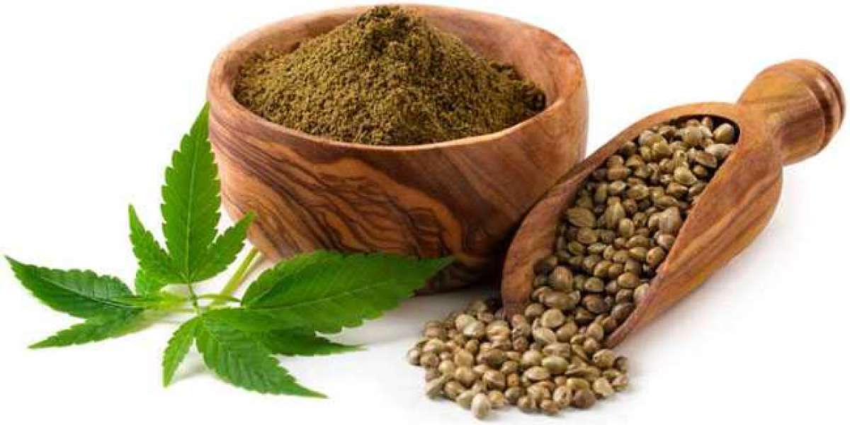 Why People Prefer To Use Hemp Protein Powder Benefits