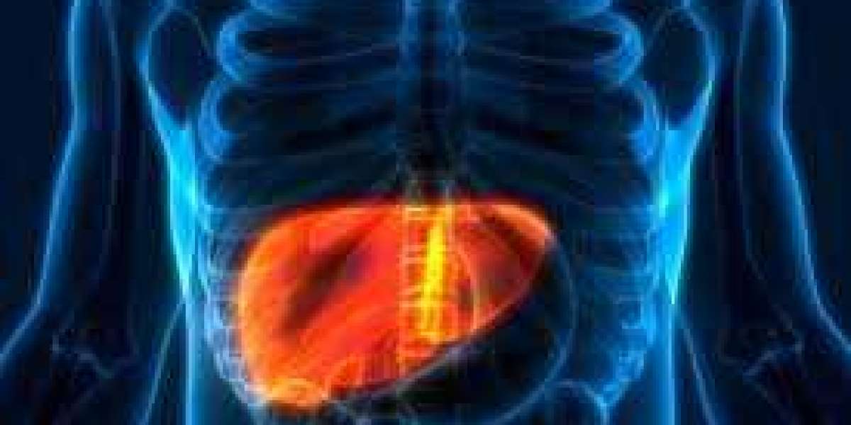 Liver Health Supplements Market to Reflect a Holistic Expansion during 2022–2030