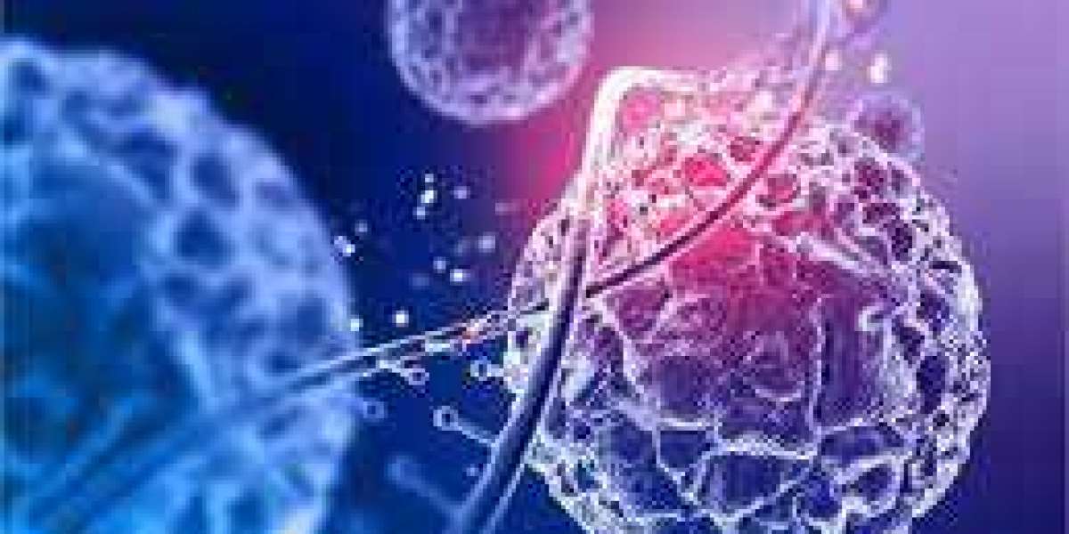Cell Therapy Market Fundamental Dynamics & Comprehensive Assessment to 2030