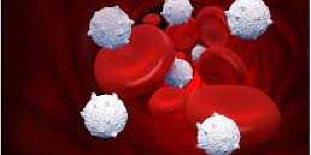 Stem Cell Assays Market Size, Trends, Scope and Growth Analysis to 2030