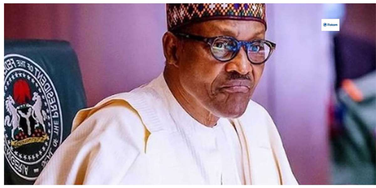 After May 29, Niger Republic’ll Defend Me If… — Buhari
