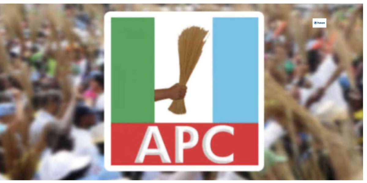 APC US Holds Solidarity March To Counter Anti-Tinubu Protest, LP Kicks