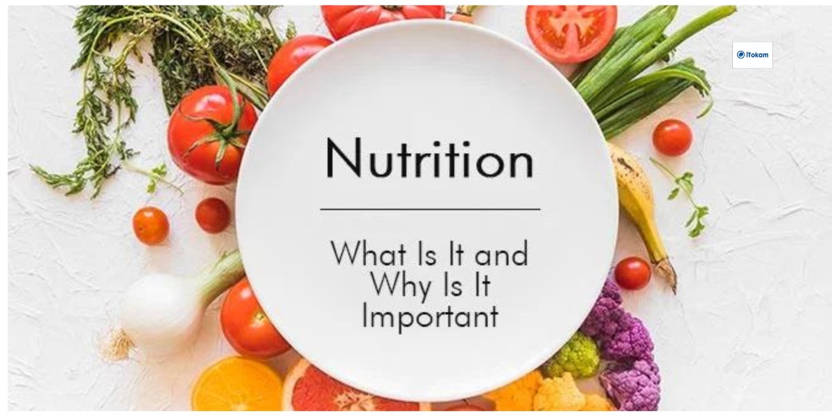 Why Nutrition Is Critical To Human Growth.