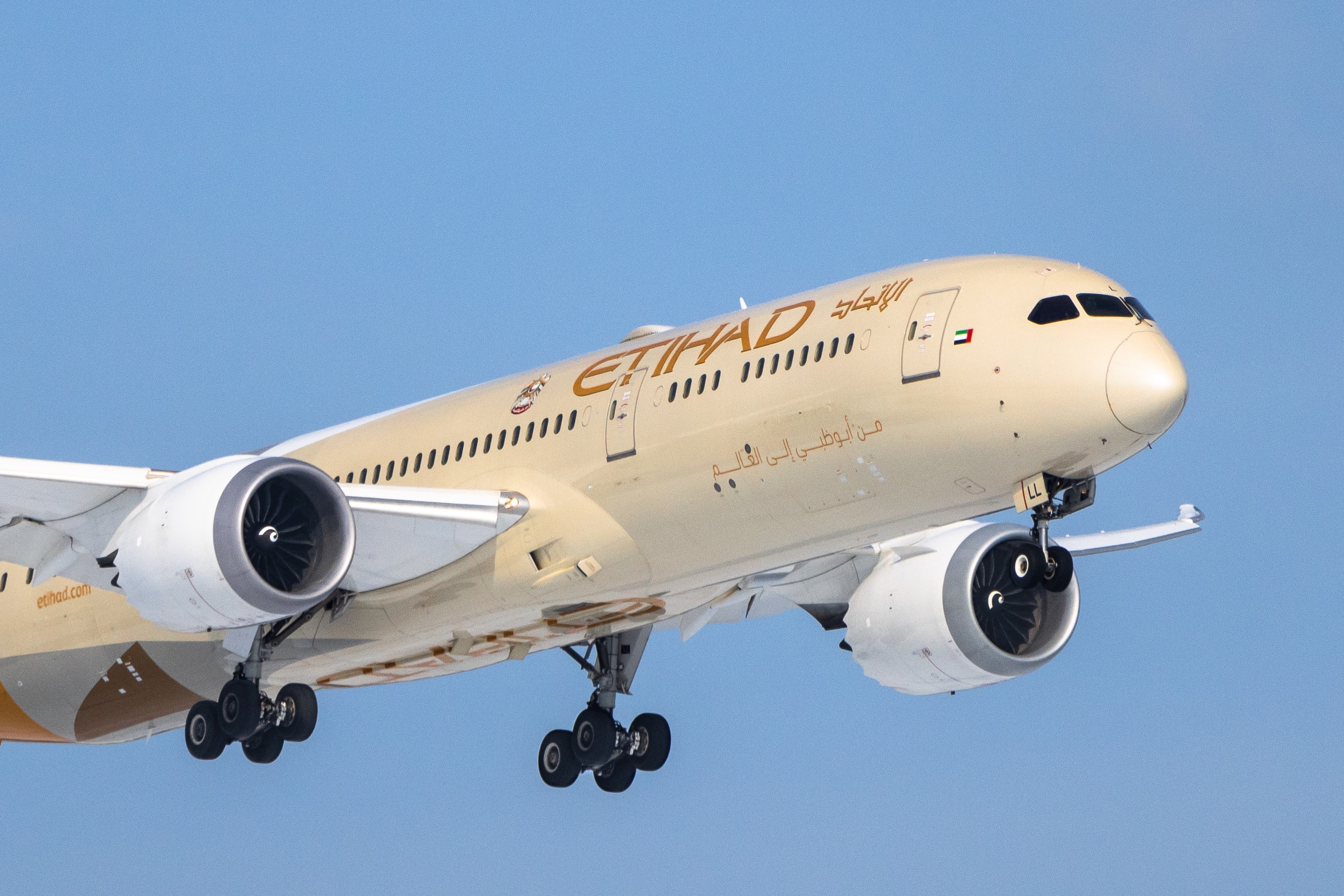 Etihad Flights: The Benefits of Flying with the World’s Leading Airline | TheAmberPost