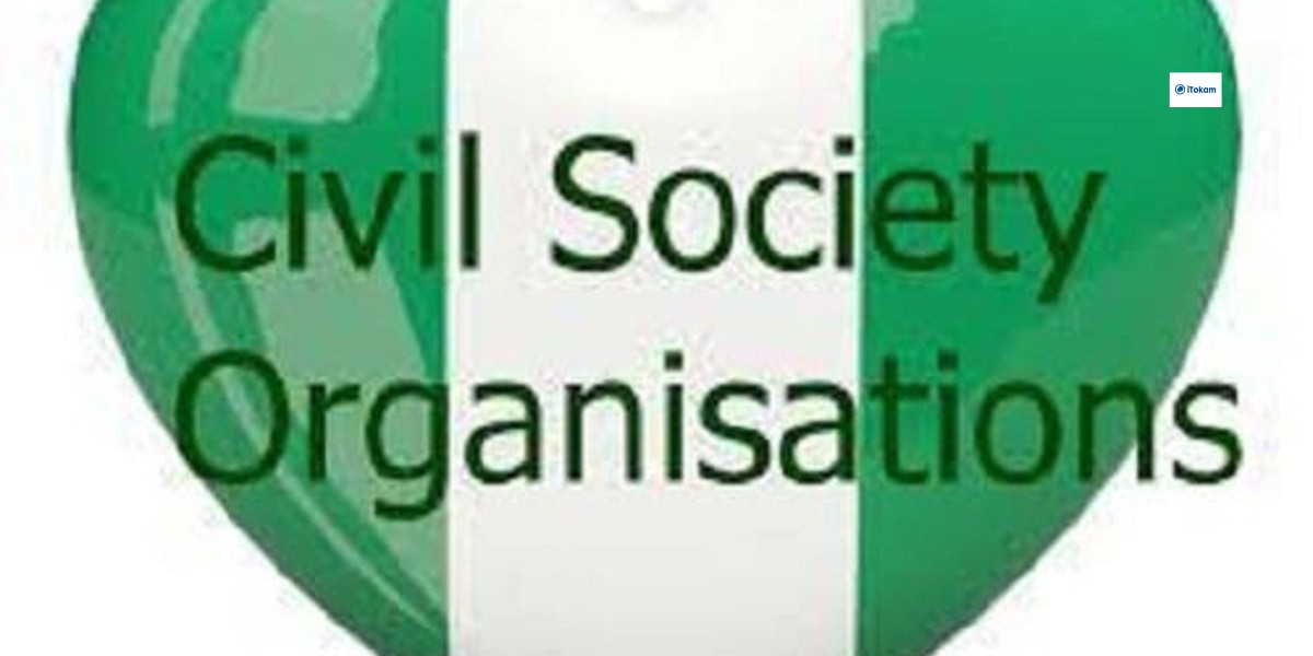 Civil Society Organization Tells Tinubu To Follow Abiding Laws In Appointing New IGP