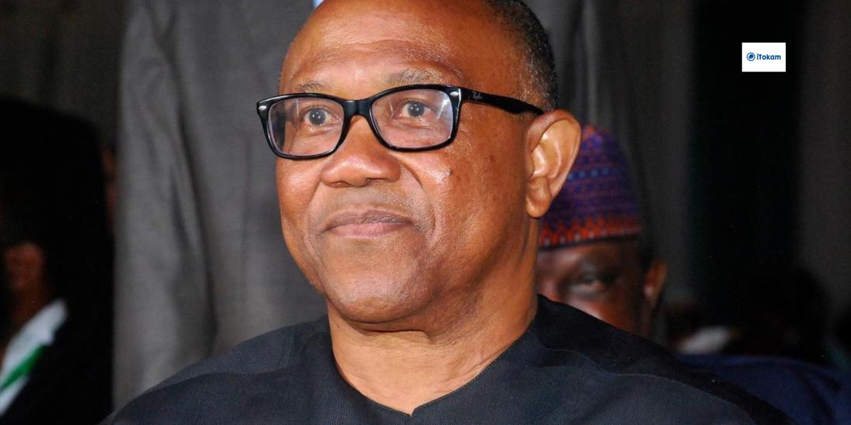 Presidential Poll: Over 18,088 Results INEC Uploaded Were Blurred — OBI’S Witness.