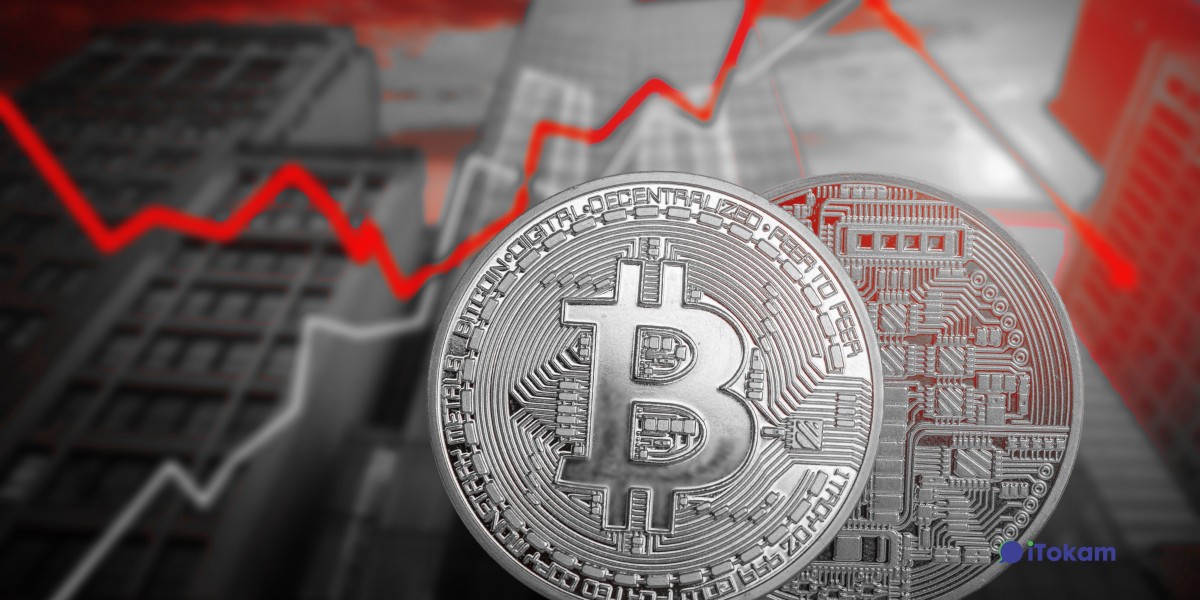 Bitcoin Price Rises to Yearly High Amid Positive Developments in Crypto Industry