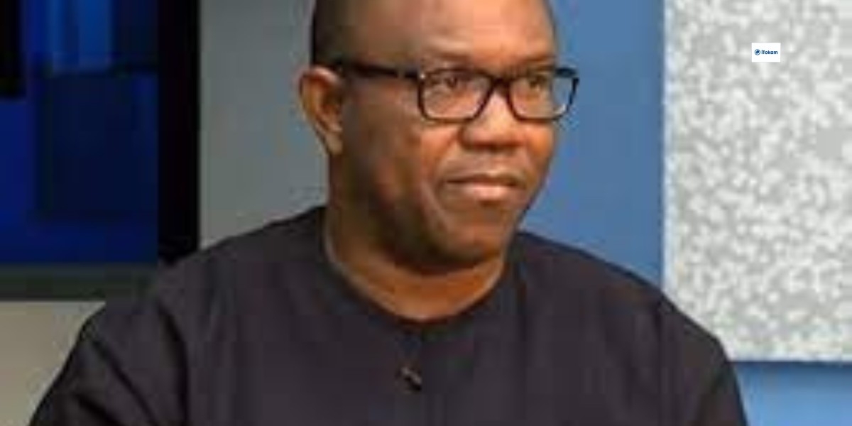 Peter Obi Never Spoke On Becoming President In 2027, Says Campaign Spokesman