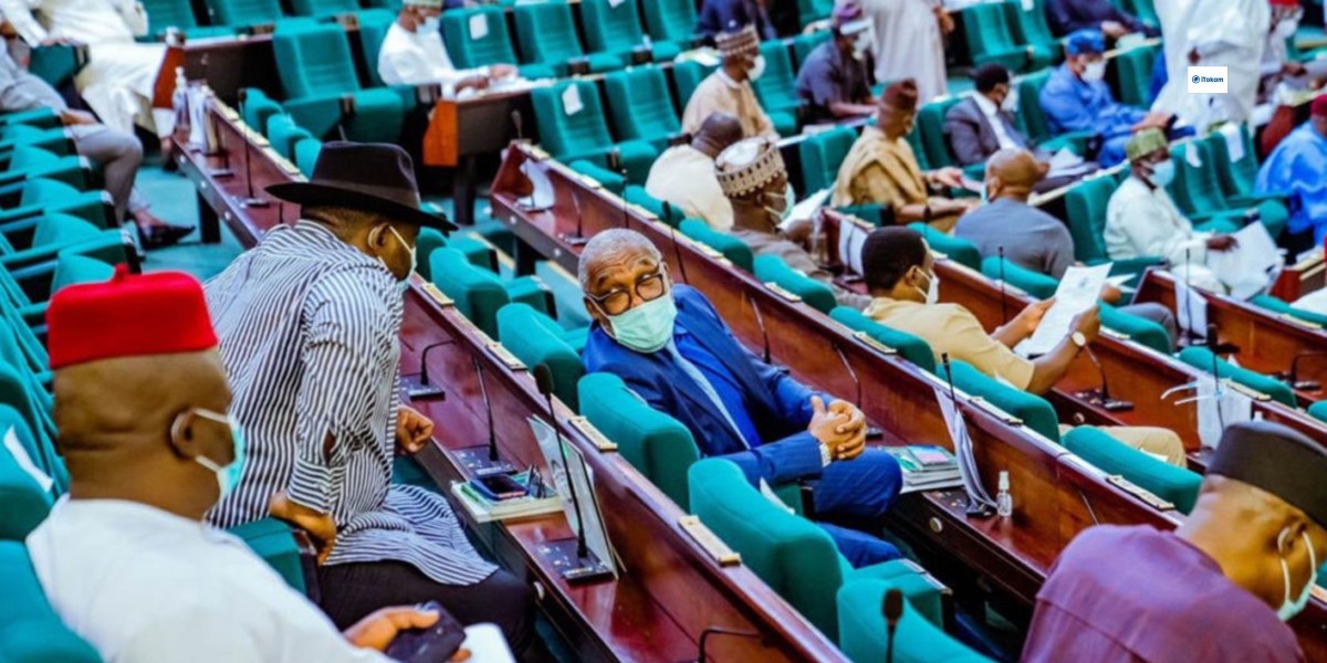 Reps Asks FG To Lift Ban On Fuel Sale At International Borders