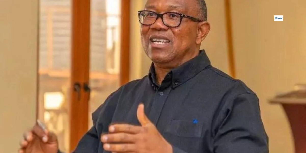 Peter Obi, LP Kicks As Tinubu Offer Opposition Governors New Appointments.