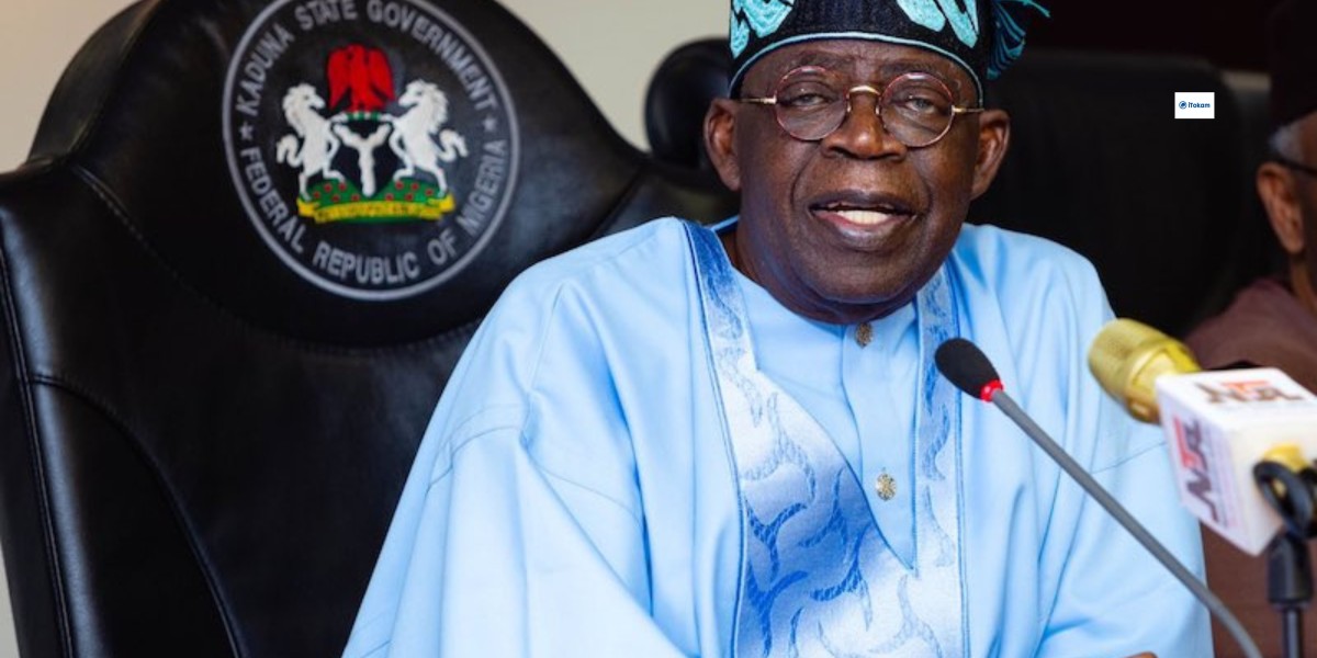 Tinubu Moves To End Overreliance On Borrowing For Public Expenditure