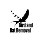 birdandbat removal